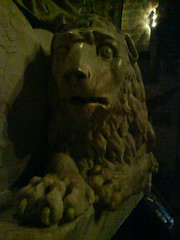 Bog-eyed lion