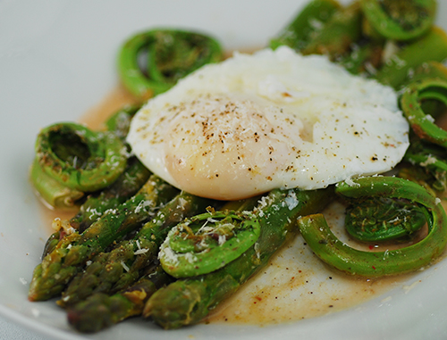 Poached Egg on Asparagus and Fiddleheads
