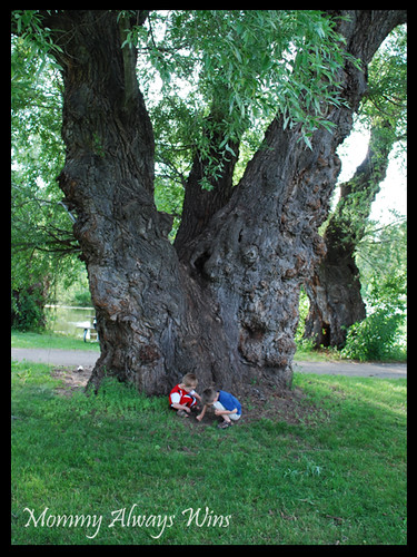 Nick &amp; Will posing by the big tree - 2009