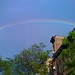 Rainbow Over Brooklyn