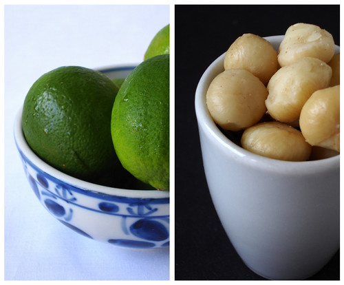 Lime fudge with macadamia nuts