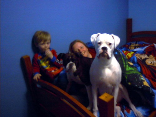 and they're all on Tristan's bed -- note the Superman bedding!