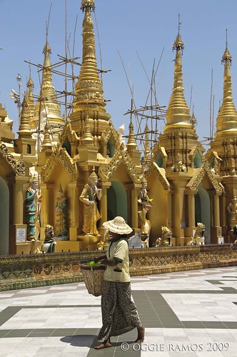 shwedagon golden stupas and lady