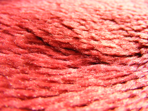Fabric Texture #6