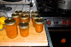 All Jammed Up by neocles, on Flickr