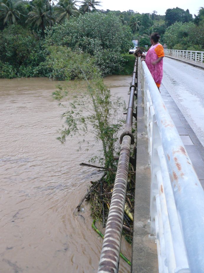 Depression tropicale fevrier 2009 Poindimie #8: Bambou coincé sous le pont d'Amoa