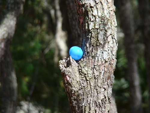 Easter egg hunt at Starkey Park by JEWELRY BY PAMELA