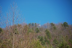 Long Creek/Round Mountain Tower
