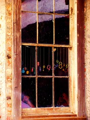 Window by juliealicea1947