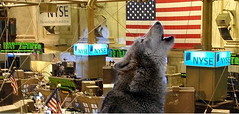 Resources and Concepts - WOLF ON WALL STREET