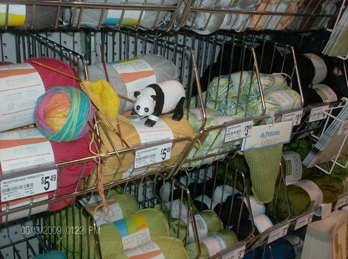 Opal Rainbow Stripes knitted sock at Michaels Craft Store with a giant panda