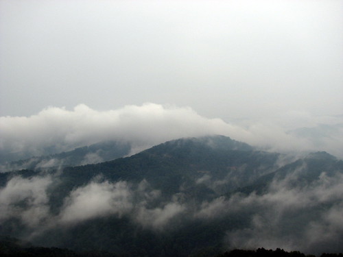 Foggy Appalachian Mountains