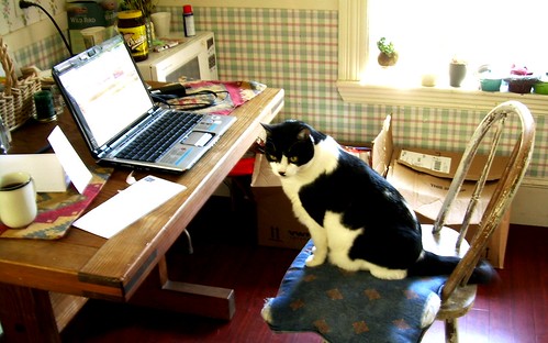 Trouble's Home Office
