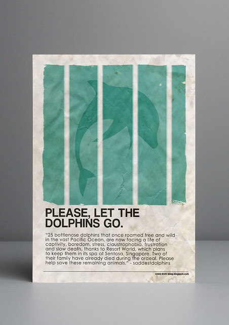 please , let the dolphins go - frame