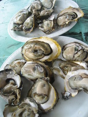Fresh Oysters (Talaba)
