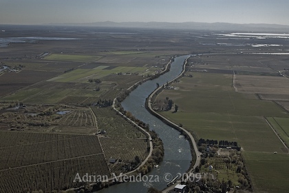 "Aerial Photo" "California Delta" "Sacramento River" "Grand Island" Ryde