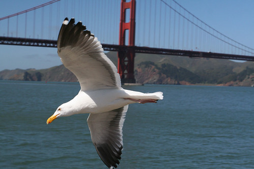 SF Golden Gate Bridge