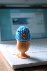 twitter bird egg cosy