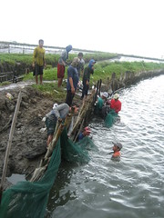 Fish and Crab Harvesters 