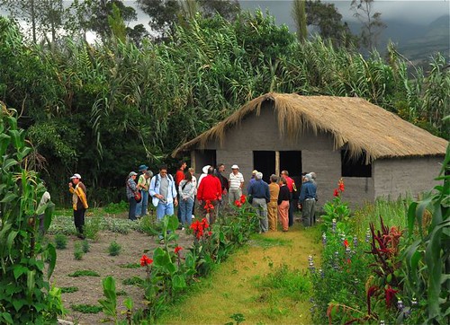 Ecuador-organic-garden