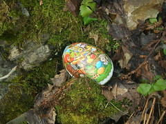 Hunt Easter Bunny Eggs in Norwegian Woods #5
