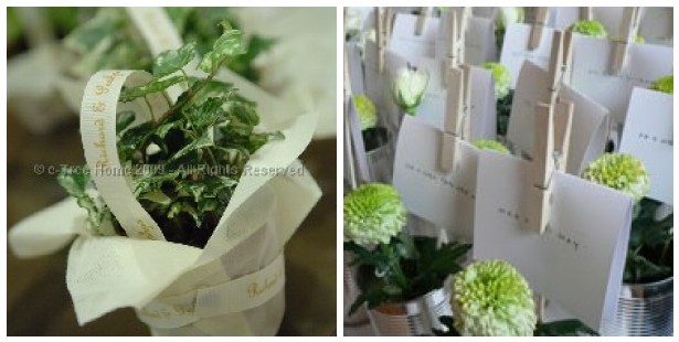 e-tree potted favours