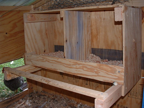 The nest boxes from the inside.