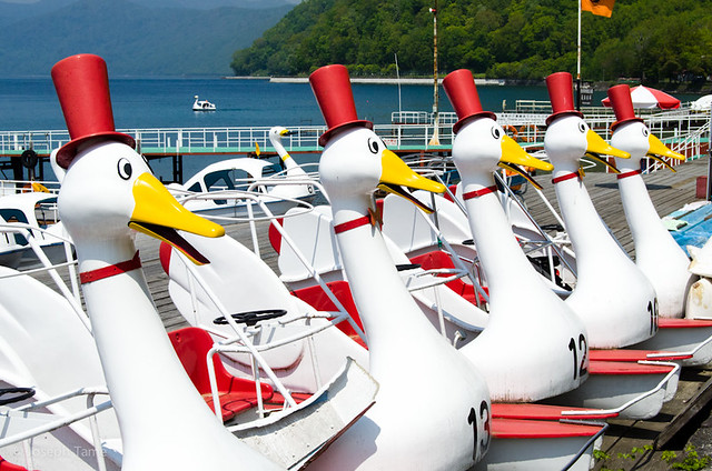 Hokkaido-duck-boat_6292