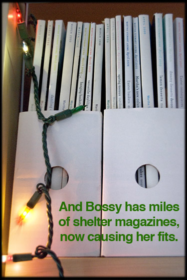 shelter-magazines