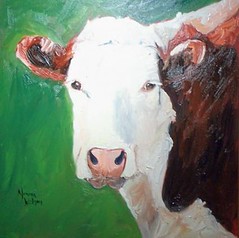 bovine_beauty_cow_portrait