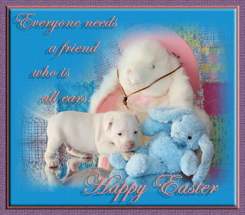 Friends Forever Sayings. Luna & Bunny Friends with