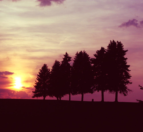 フリー画像|自然風景|樹木の風景|夕日/夕焼け/夕暮れ|アメリカ風景|フリー素材|