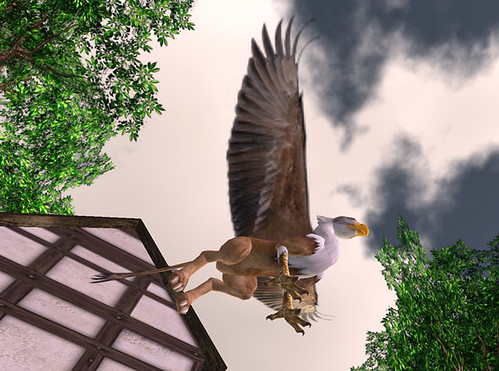 Griffin in flight
