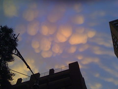 Cotton Ball Clouds!