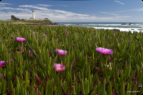 May-11-Pigeon Point-017