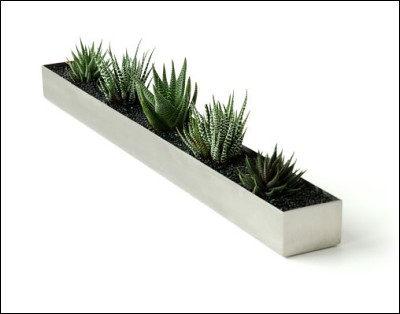 Modern Planters Collection