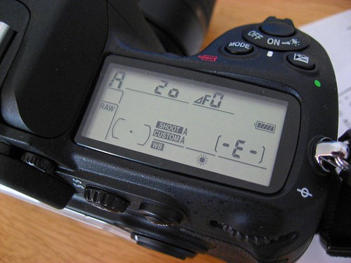 Nikon D300: Dreaded F0 Problem