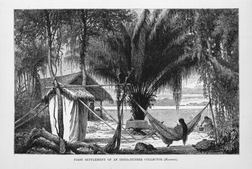 008-Los Ríos Amazonas y Madeira 1875- Primer asentamiento de un recolector de caucho en el Madeira