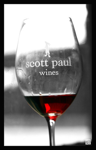 On our mini trek to Scott Paul Winery in the Willamette Valley, OR.