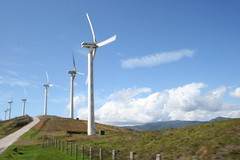 tilaranwindmills