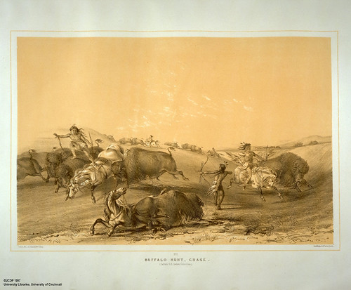 002-Caceria de bufalos-George Catlin 1875-1877