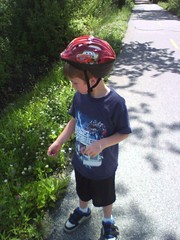 Picking flowers along the trail.