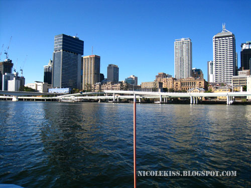 citycat view of Brisbane
