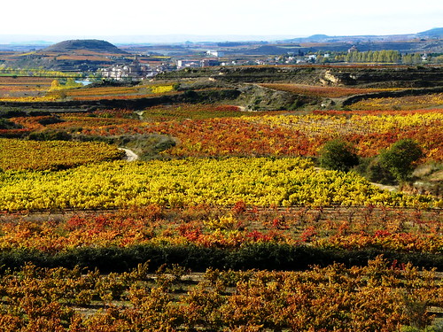 The Rioja wine
