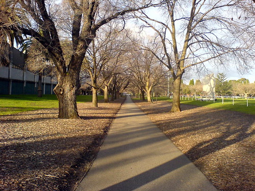 Path Running Through Princes Park