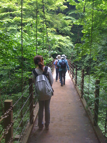 高尾山の吊り橋