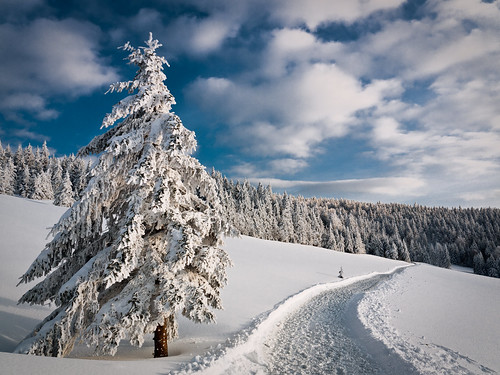 Winter-Inspiration: 10 Fotos
