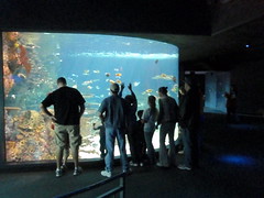 people at the tropical tank