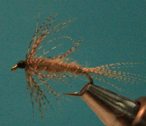 Hare's Ear soft hackle