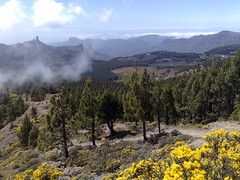 Gran Canaria - Pozo de las Nieves